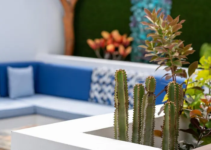 Dejablue Privada Entre Mar Y Montana * Santa Maria de Guia de Gran Canaria