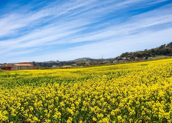 Dejablue Privada Entre Mar Y Montana וילה *